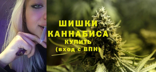 spice Арсеньев