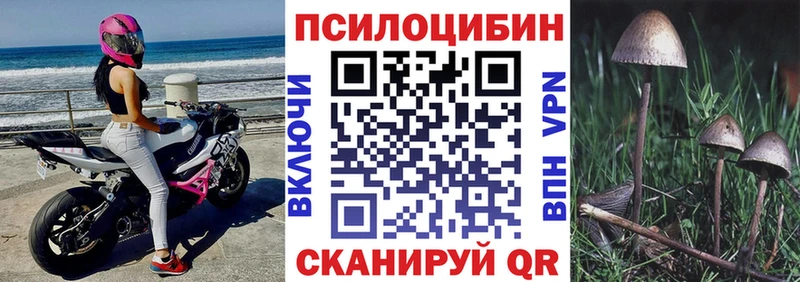 Псилоцибиновые грибы Magic Shrooms  Родники 