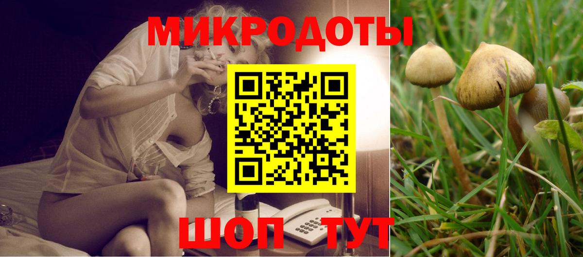 Псилоцибиновые грибы прущие грибы  Вход с VPN  Родники 