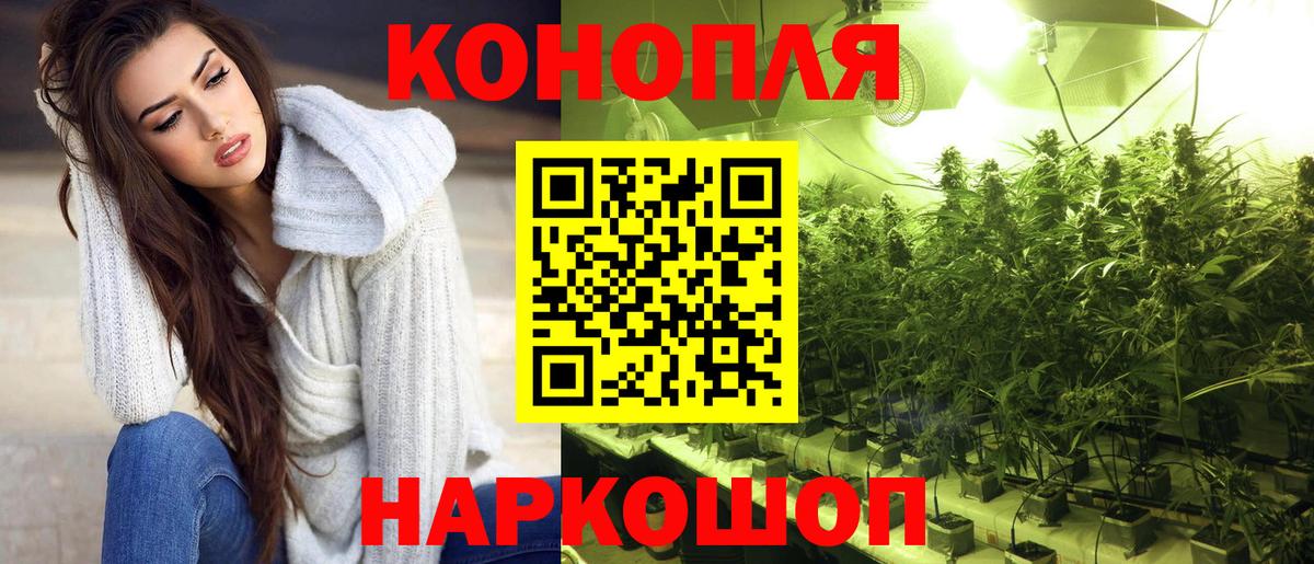 Бошки Шишки OG Kush Родники